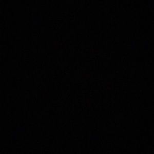 Meet your Posher, Sharane